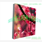 供應(yīng)LED櫥窗顯示屏